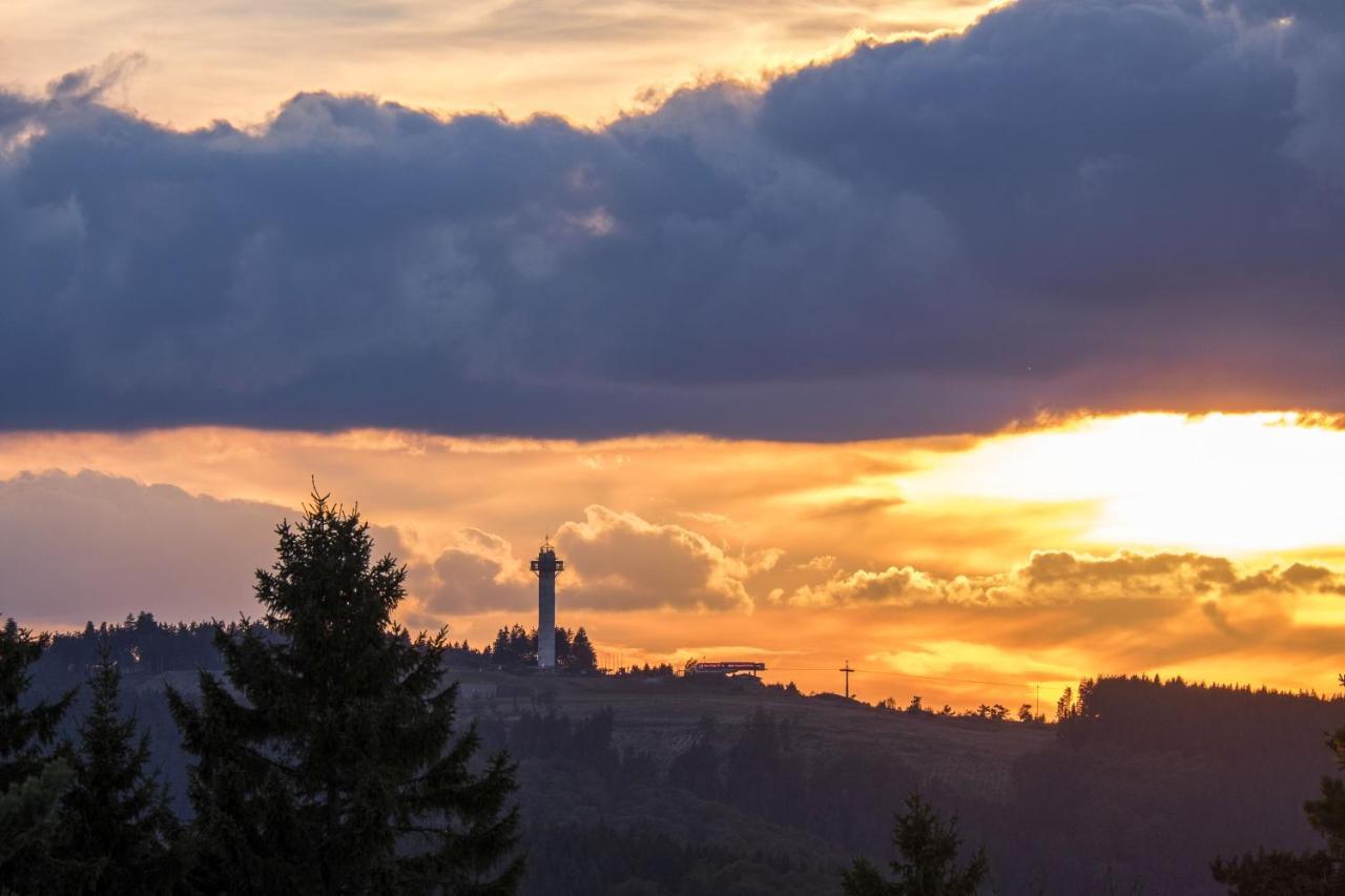 Fewo Poenblick Willingen  Exterior foto